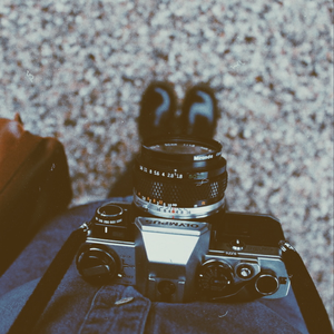 Foto de perfil de Manuela BBG