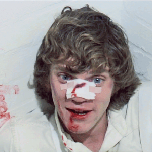 Foto de perfil de Larissa