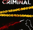 Investigação Criminal (1ª Temporada)