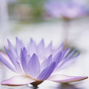 Foto de perfil de Maria Esther