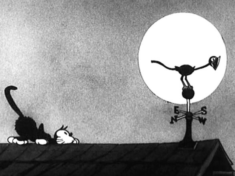 Foto 1 de The Cat's Out