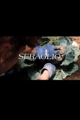 Poster 1 de Filme Seraglio (2000)
