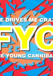 Fine Young Canibals: She Drives Me Crazy (Fine Young Canibals: She Drives Me Crazy)