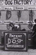 Dog Factory (Dog Factory)