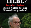 Amor Cego - Conversa com Jean-Luc Godard 