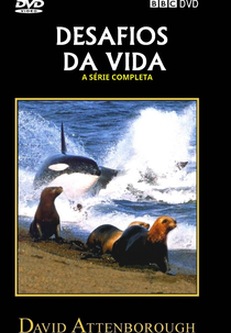 Os Desafios da Vida (The Trials of Life)