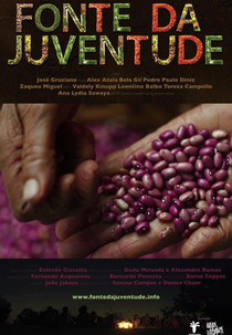 Fonte Da Juventude (Fonte Da Juventude)