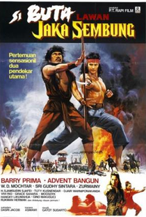 The Warrior and the Blind Swordsman - Poster / Capa / Cartaz - Oficial 1