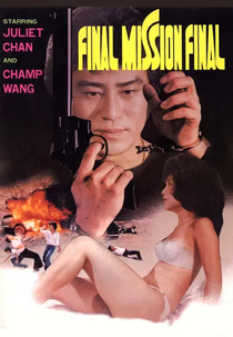 Final Mission Final (誰人了解我)