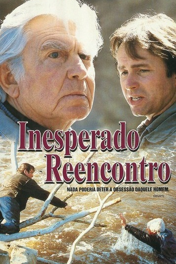Poster de Filme Inesperado Reencontro (1995)