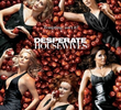 Desperate Housewives (2ª Temporada)