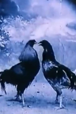 Animali Criminali (Animali Criminali)
