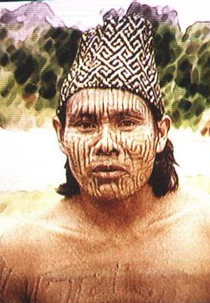 Índios no Brasil - Quem são eles? (Índios no Brasil - Quem são eles?)