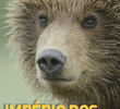 Império dos Ursos Pardos