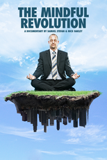 Meditação: A Revolução da Mente (The Mindful Revolution)