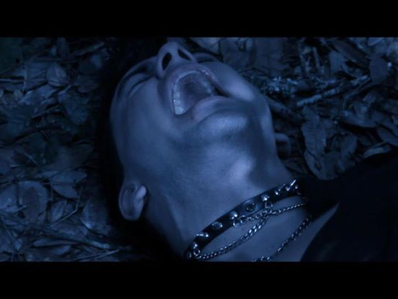 Foto 7 de Mister White 