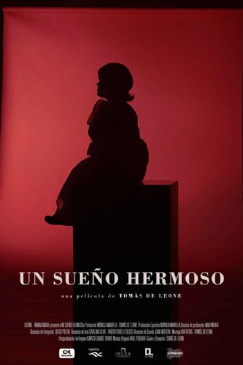 Poster de Filme Un sueño hermoso (2020)