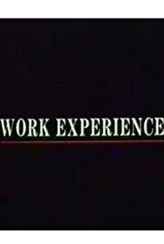 Poster 1 de Filme Work experience (1989)