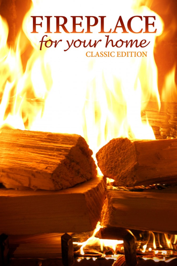 Poster de Franquia Fireplace For Your Home (2010)
