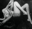 Evergreen