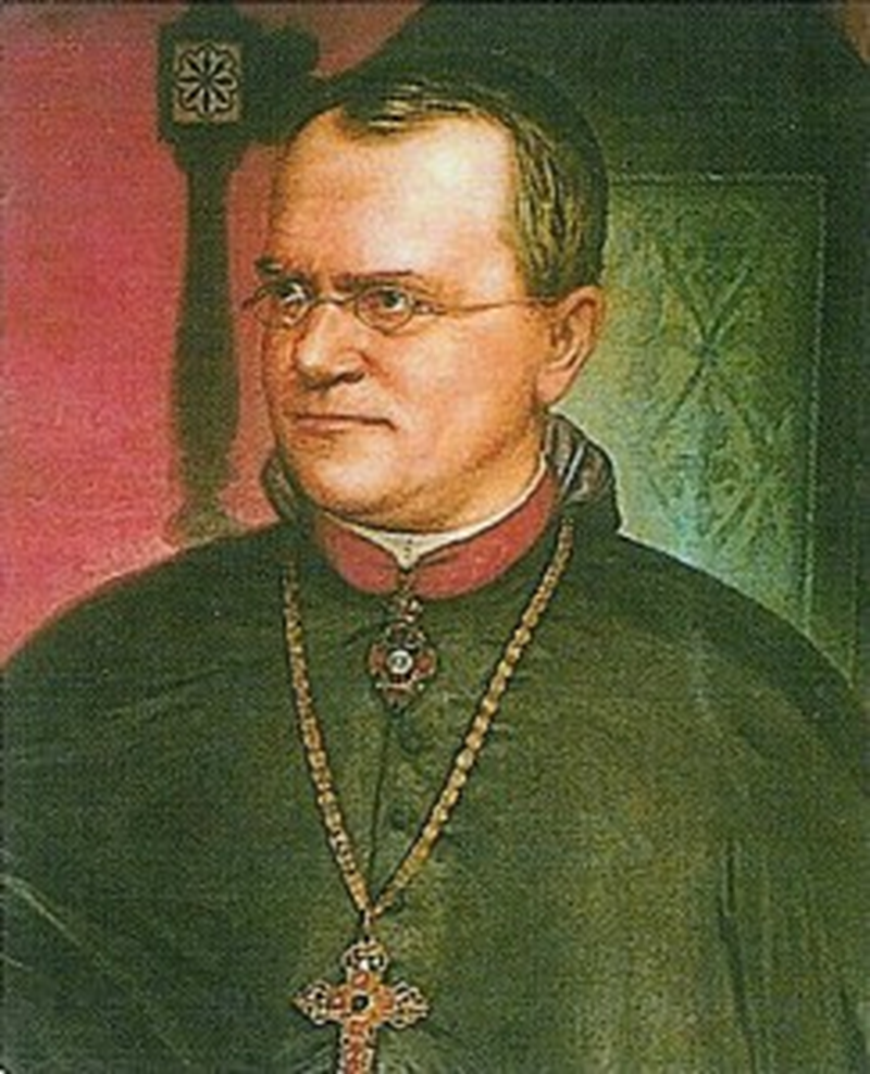 Gregor Johann - Foto 1