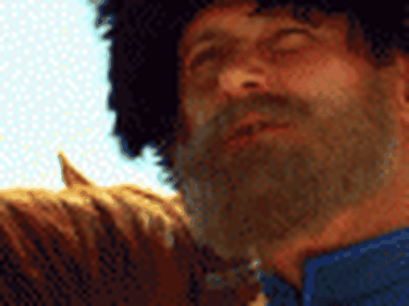 Foto 15 de The Turkish Gambit