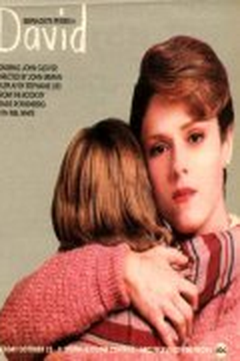 Poster de Filme David (1988)
