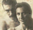 As Faces do Crime
