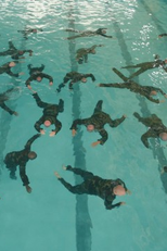 Sink or Swim (Sink or Swim)