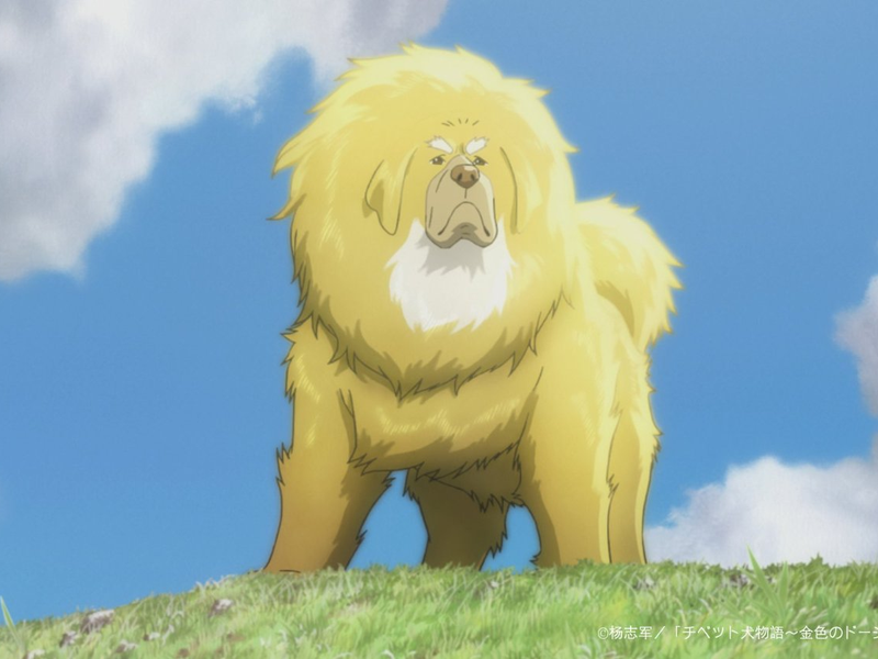 Foto 6 de The Tibetan Dog