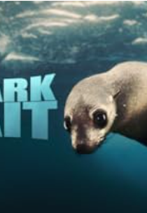 A guerra dos tubarões (Shark Bait)