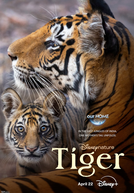 Tigre (Disneynature's Tiger)