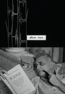 O Mestre de Apipucos (O Mestre de Apipucos)