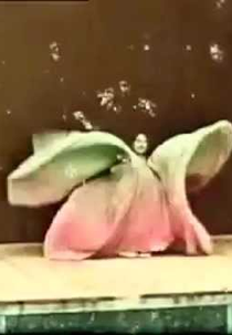 Serpentine Dance: Loïe Fuller (Serpentine Dance: Loïe Fuller)