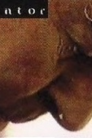  de Curta O Pintor (1995)