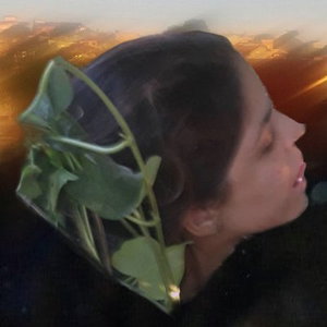 Foto de perfil de Linda Langue