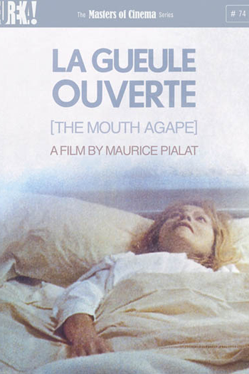 Poster de Filme A Ferida Aberta (1974)