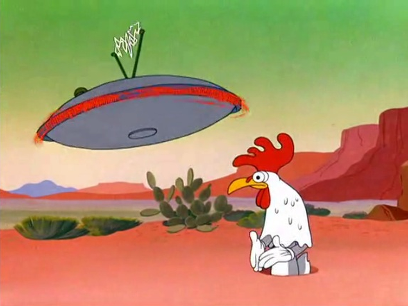 Foto 2 de Operação: Coelho