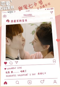 Encyclopedia of Love (恋爱百科全书)