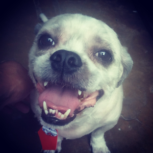 Foto de perfil de Paulo