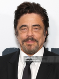 Benicio Del Toro
