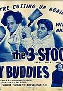 Profissionais do humor (Busy buddies)