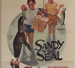 Sandy the seal