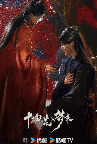 Poster 6 de Série Blossom in Darkness (2025)