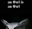 An Owl Is an Owl Is an Owl