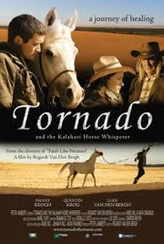 Poster 2 de Filme Tornado Indomável (2009)