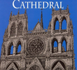 David Macaulay: Cathedral