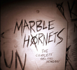 Marble Hornets (2ª Temporada)