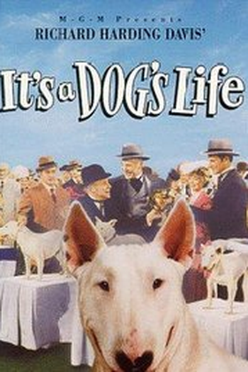  de Filme Aventuras de Um Cachorro (1955)