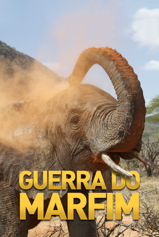 Poster 1 de Série Guerra do Marfim (2015)